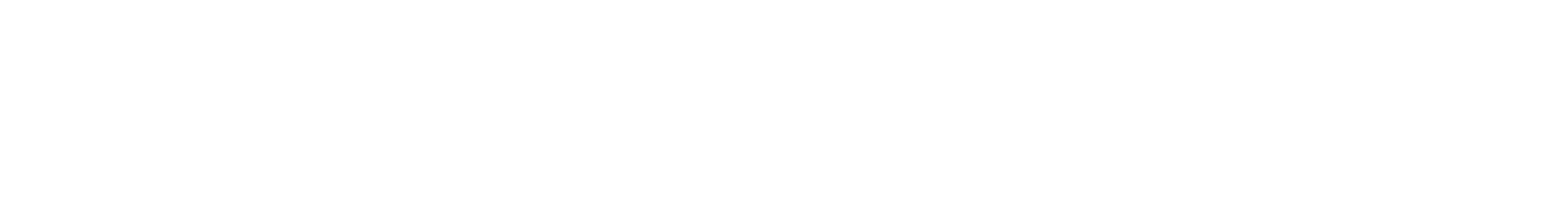 Solibus WorkPlace Logo